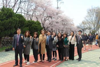 2019 Cherry Blossom Festival ÷���̹���