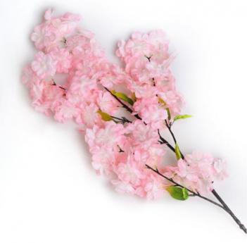 2020 Spring at GAFL ÷���̹���