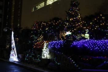 GAFL Christmas Tree Lighting Ceremony 20...
