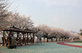 Dreaming Pavilion